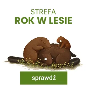 Strefa Rok w lesie